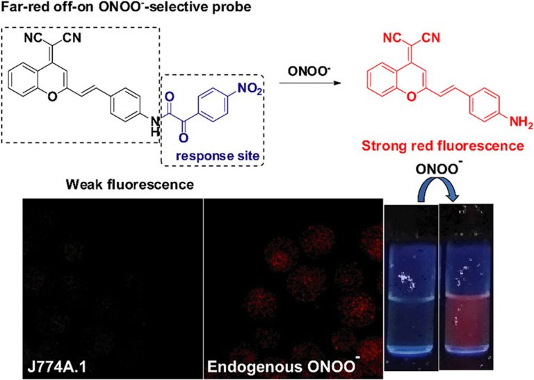 1-s2.0-S0039914019300645-fx1_lrg