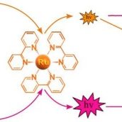 1-s2.0-S0925400519300061-ga1