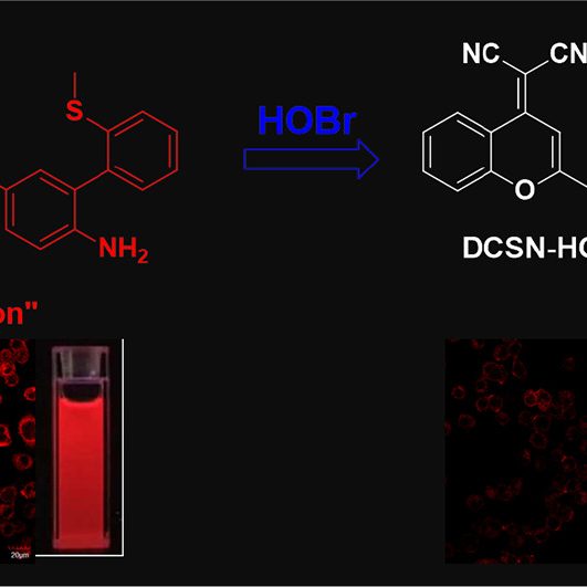 1-s2.0-S1386142519306304-ga1_lrg