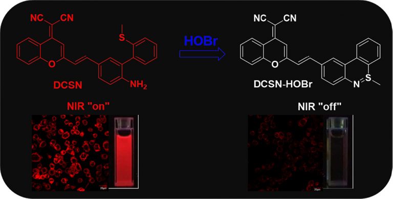 1-s2.0-S1386142519306304-ga1_lrg