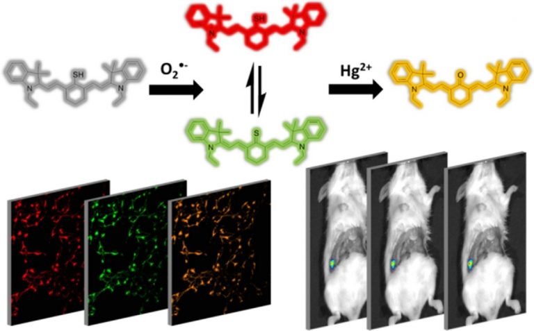 1-s2.0-S0925400519312377-ga1_lrg