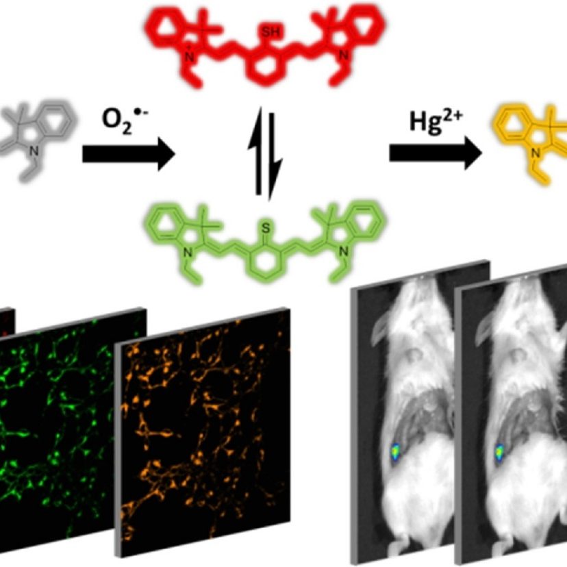 1-s2.0-S0925400519312377-ga1_lrg