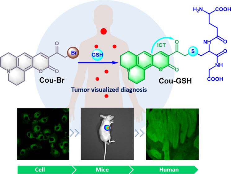 1584177879-acssen2020