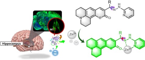 1587605486-1-s2.0-S0925400520301192-ga1