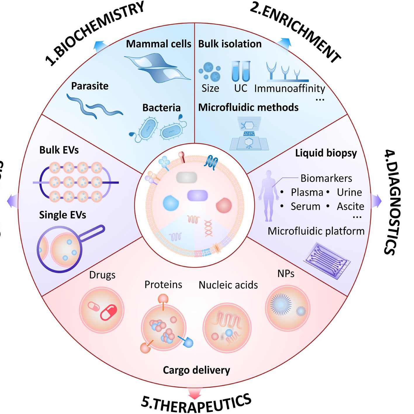 1597717538-未标题-1