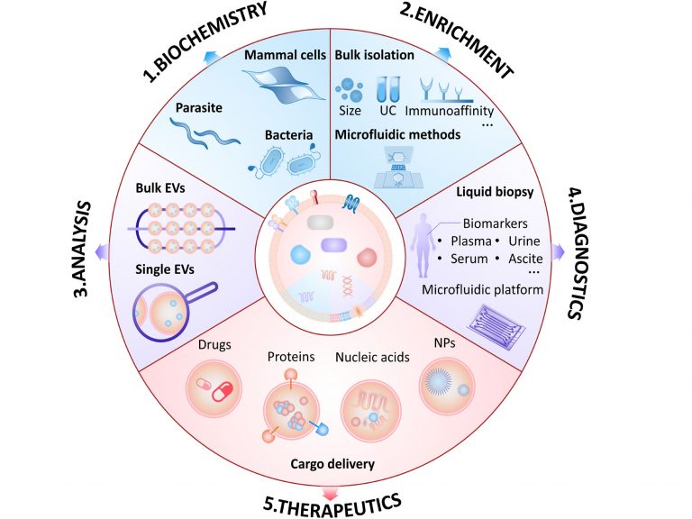 1597717538-未标题-1