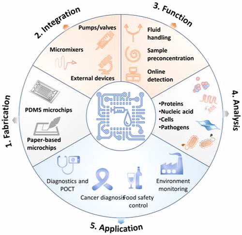 1605578966-mt0c01271_0015