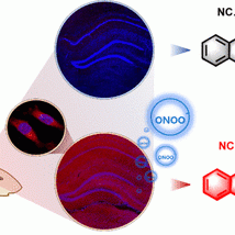 1614224464-ac0c04529_0008