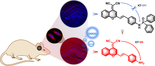 1614224464-ac0c04529_0008