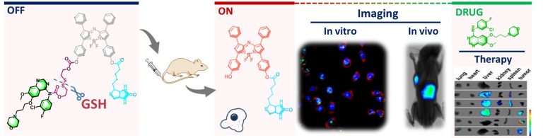 1631520276-111615jwljlr29nlnr0rrc