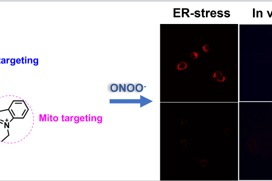 1653445149-微信图片_20220525101823