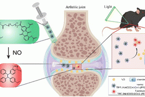 1676363139-微信图片_20230214162525
