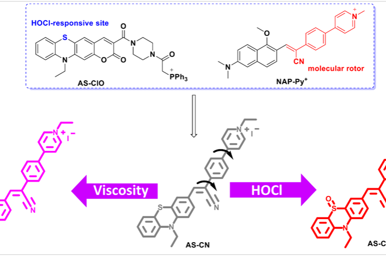 1680498300-微信图片_20230403123002