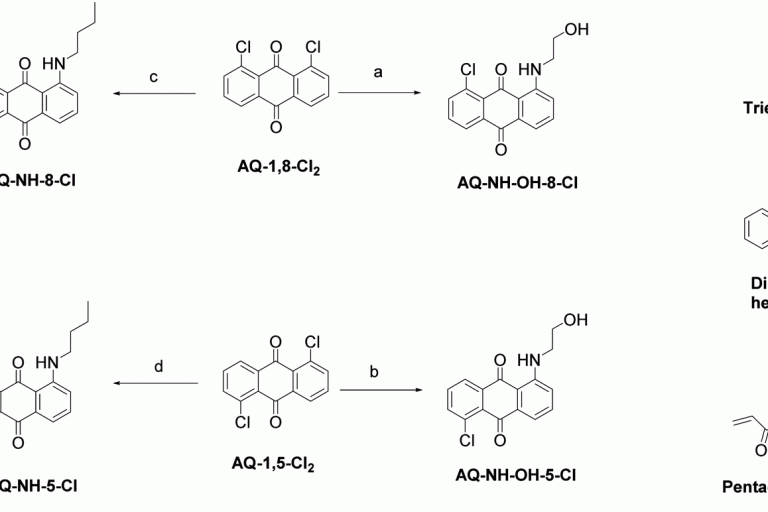 1685942073-C31B2522DCB01B557C8B85848B6_CEC5EE92_18F8F (1)