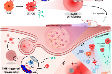 1687684013-80D2C6CE4574B1F7861612E5F65_6478BD8A_36D1A