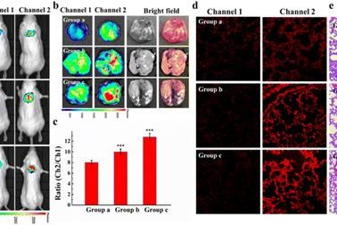 1695022019-FE625E8B5B351C6D410C87DB704_112E2563_9C9F