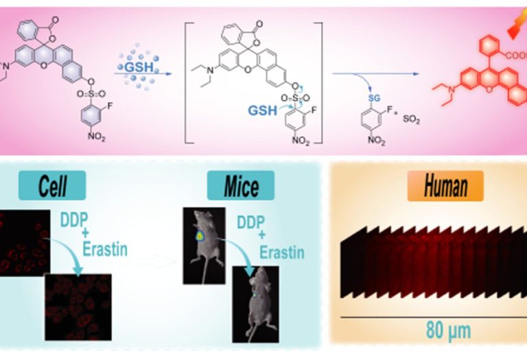1702375770-83CBF7B43B00F17A812FB94CA28_DC8A2CEC_17DC6