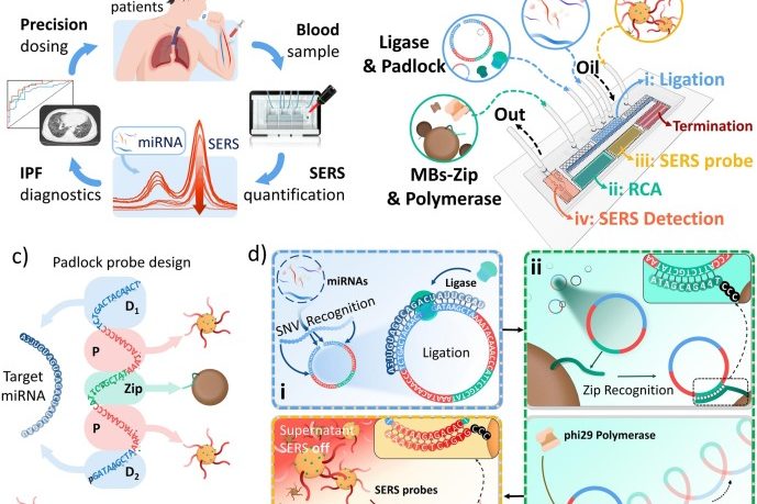 1706520449-1-s2.0-S1385894724004972-gr6