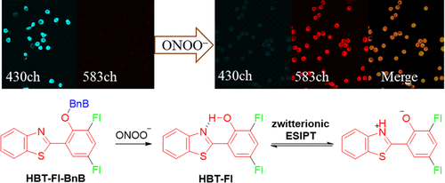 1709191747-images_medium_ac3c05718_0009