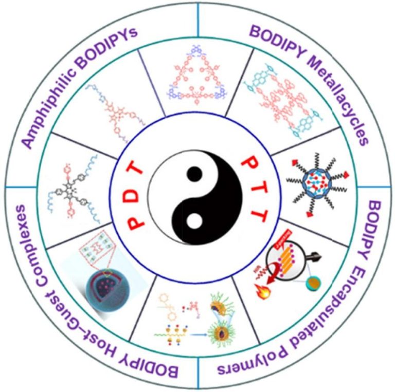 1720422325-9AE8FCA7B9AB057F19E16B87162_0DF3634D_1C6EB