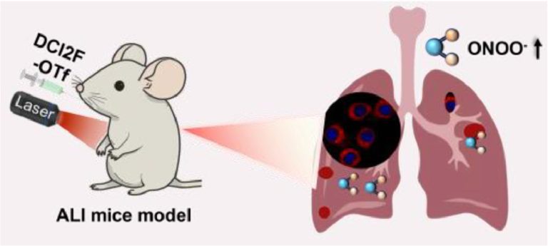 1721017356-1-s2.0-S1001841724006016-ga1_lrg