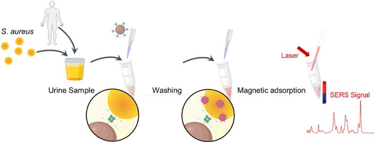 1724124409-1-s2.0-S0039914024010701-ga1_lrg