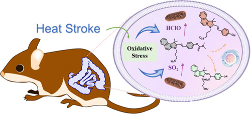 1731633416-images_medium_ac4c05488_0008