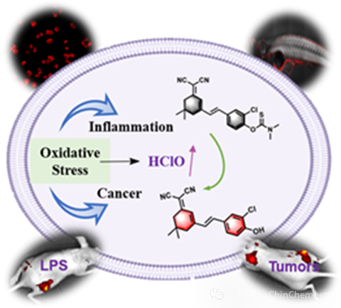 1731634359-E54F368E232E0B3C6AD5E824AAF_84E7957C_34C0F