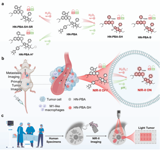 1731722650-B3193978C27961FA851BDCC423E_4F96F5E0_DF98