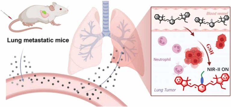 1732933271-1-s2.0-S0925400524017350-ga1_lrg
