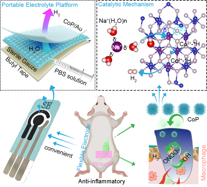 1738724586-DEC88F355B3E6817695EBCDE592_02FDA14F_72F4A