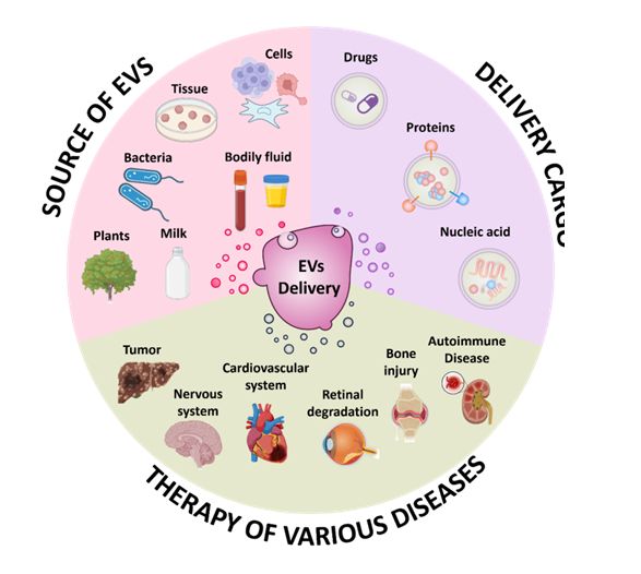 1741404755-微信图片_20250308113203