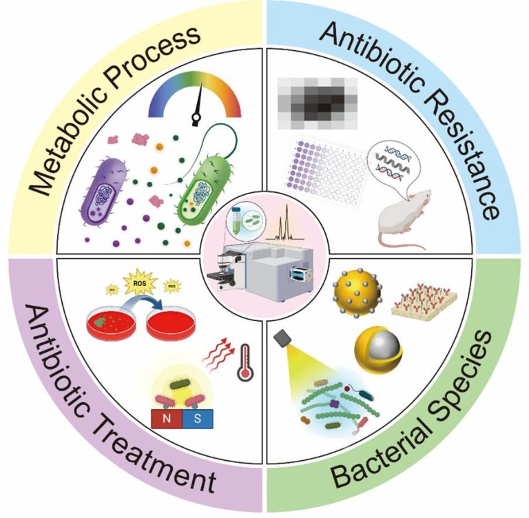 1742460066-1-s2.0-S1386142525003579-ga1_lrg