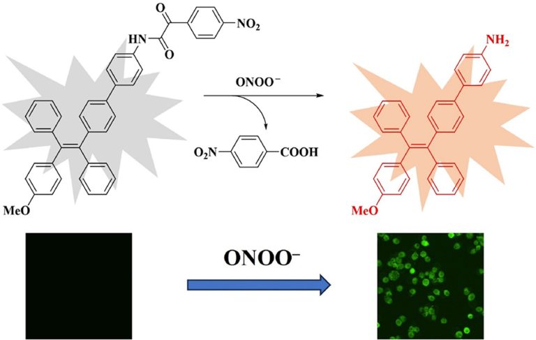 1744162345-1-s2.0-S0039914025005545-ga1_lrg