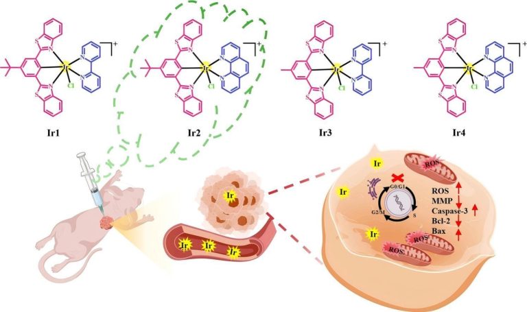 1745822294-1-s2.0-S0045206825003876-ga1_lrg